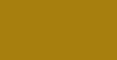 RAL 1027 amarillo curry color