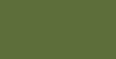 Color RAL 6025 tono verde helecho