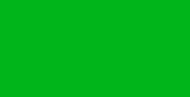 RAL 6038 color verde brillante