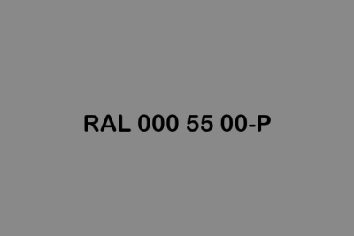 RAL 000 55 00 P ral plastics p2