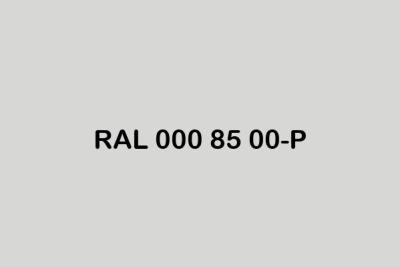 RAL 000 85 00 P ral plastics p2