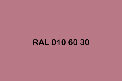 RAL 010 60 30 ral design