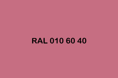 RAL 010 60 40 ral design