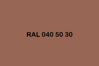 RAL 040 50 30 ral design