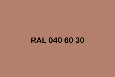 RAL 040 60 30 ral design