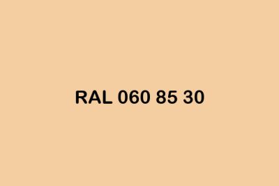 RAL 060 85 30 ral design