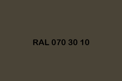 RAL 070 30 10 ral design