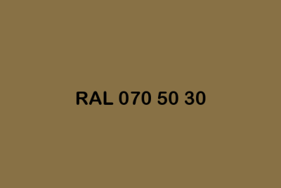 RAL 070 50 30 ral design
