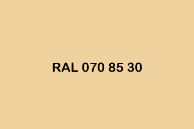 RAL 070 85 30 ral design