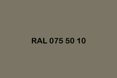 RAL 075 50 10 ral design
