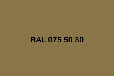 RAL 075 50 30 ral design