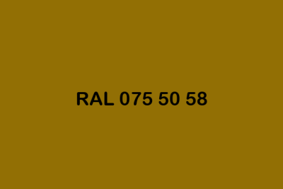 RAL 075 50 58 ral design