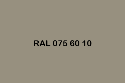 RAL 075 60 10 ral design