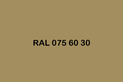 RAL 075 60 30 ral design