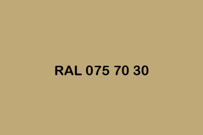 RAL 075 70 30 ral design