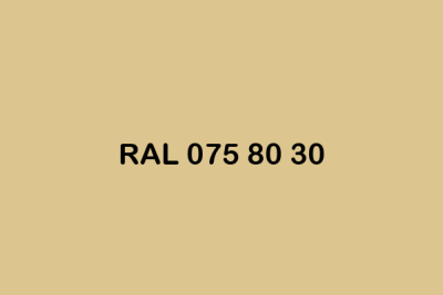 RAL 075 80 30 ral design