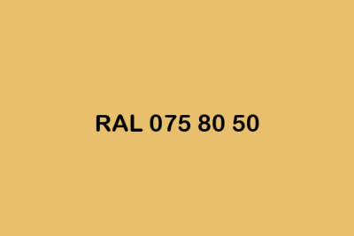RAL 075 80 50 ral design