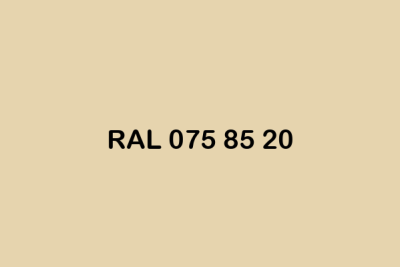 RAL 075 85 20 ral design