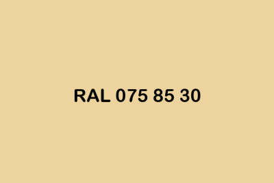 RAL 075 85 30 ral design