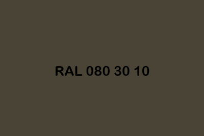 RAL 080 30 10 ral design