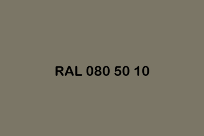 RAL 080 50 10 ral design