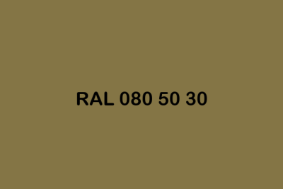 RAL 080 50 30 ral design