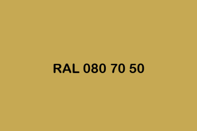 RAL 080 70 50 ral design