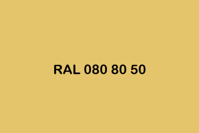 RAL 080 80 50 ral design