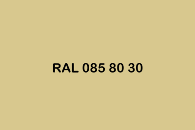 RAL 085 80 30 ral design