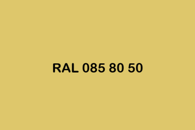 RAL 085 80 50 ral design
