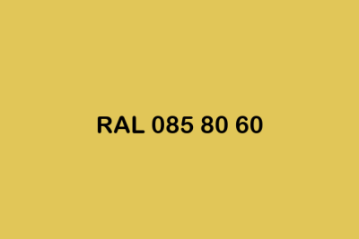 RAL 085 80 60 ral design