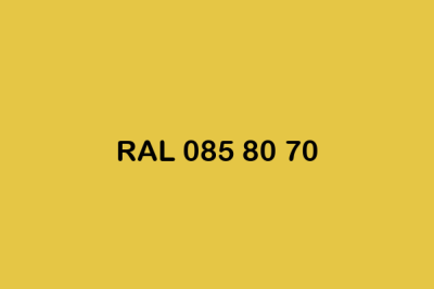 RAL 085 80 70 ral design