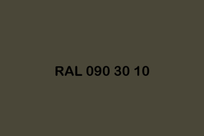 RAL 090 30 10 ral design