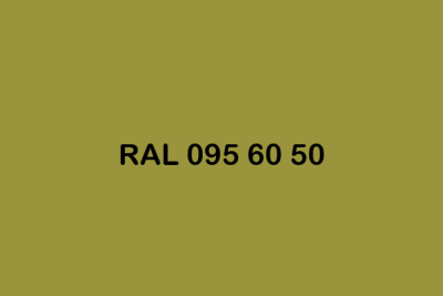 RAL 095 60 50 ral design