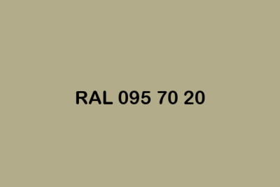 RAL 095 70 20 ral design