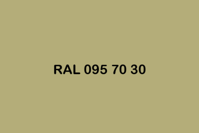 RAL 095 70 30 ral design