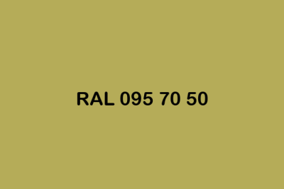 RAL 095 70 50 ral design