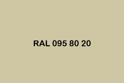 RAL 095 80 20 ral design
