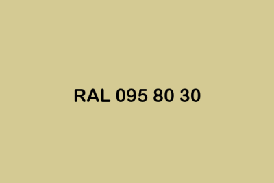 RAL 095 80 30 ral design