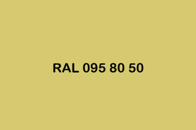 RAL 095 80 50 ral design