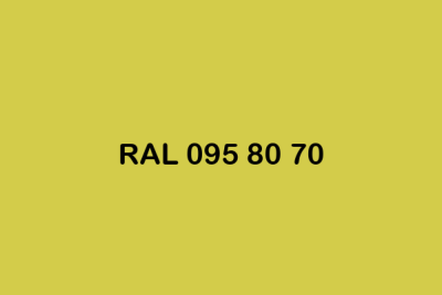 RAL 095 80 70 ral design