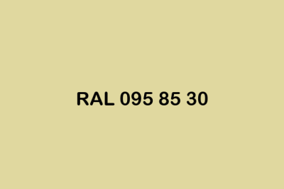 RAL 095 85 30 ral design
