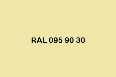 RAL 095 90 30 ral design