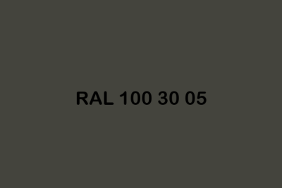 RAL 100 30 05 ral design