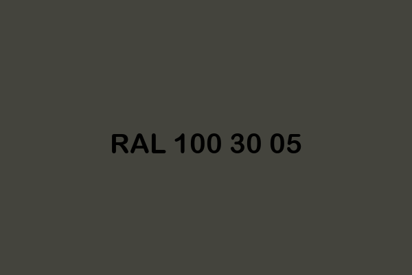 RAL 100 30 05 ral design