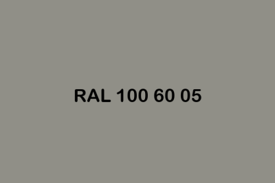 RAL 100 60 05 ral design