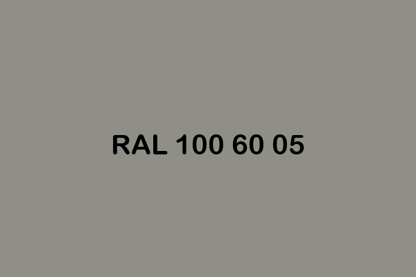 RAL 100 60 05 ral design