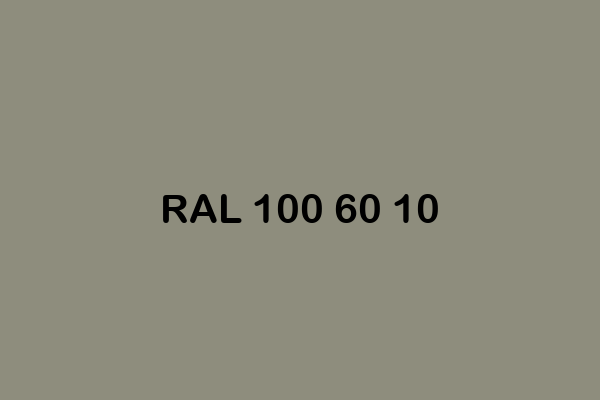 RAL 100 60 10 ral design