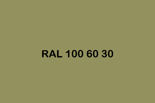 RAL 100 60 30 ral design