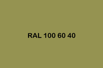 RAL 100 60 40 ral design
